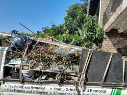 Trusted East Pasadena, CA Junk Removal Experts
